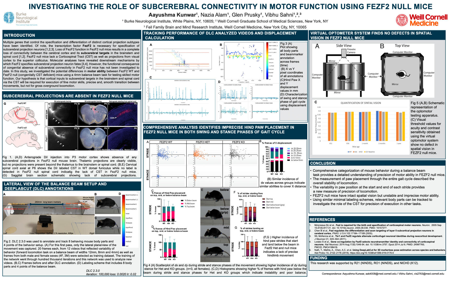 SFN poster